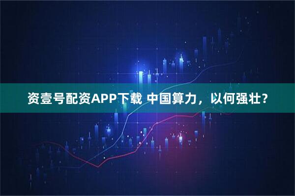 资壹号配资APP下载 中国算力，以何强壮？